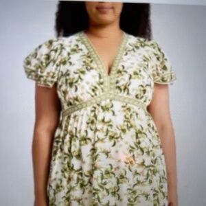 Max Studio MIDI Dress 3X  Green/cream print. Spring! NWT